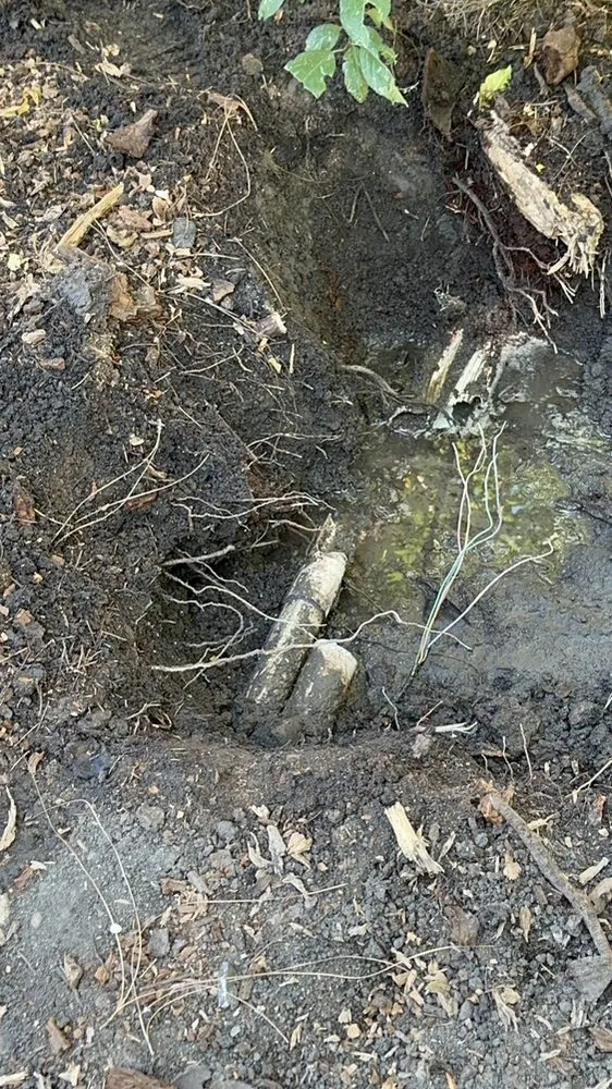 Local lawn mowing service in Stockton, CA by Richard's Landscaping and Maintenance