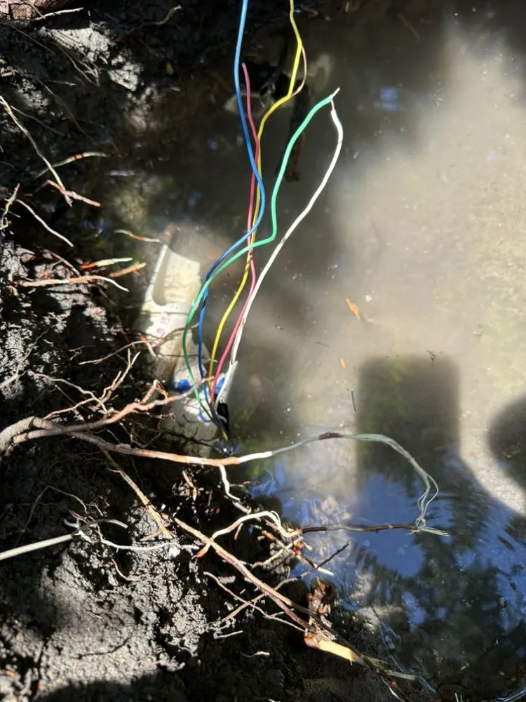 Custom outdoor landscaping experts serving Stockton, CA - Richard's Landscaping and Maintenance