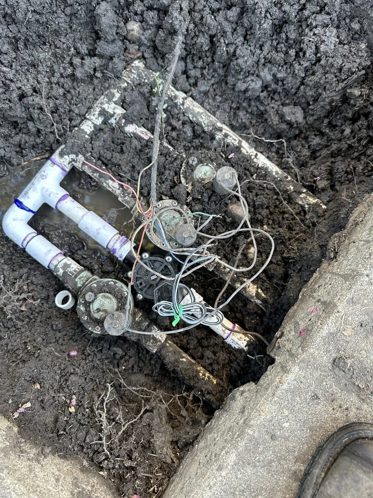 Expert yard maintenance in Stockton, CA by Richard's Landscaping and Maintenance