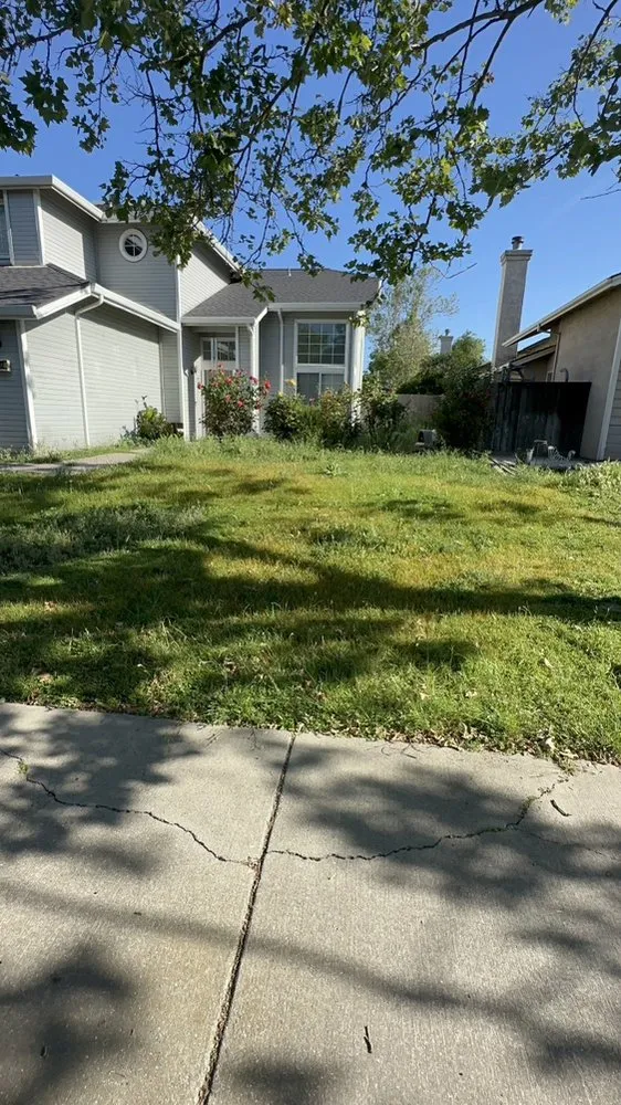 Custom landscaping services in Stockton, CA - Richard's Landscaping and Maintenance