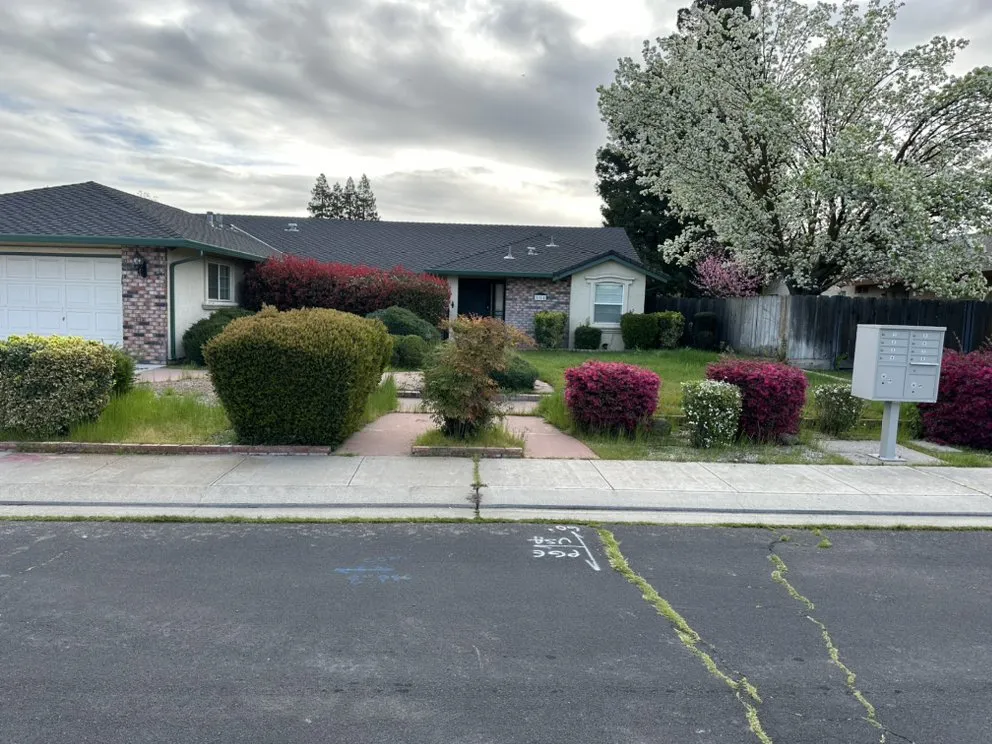 Affordable outdoor landscaping in Stockton, CA - Richard's Landscaping and Maintenance