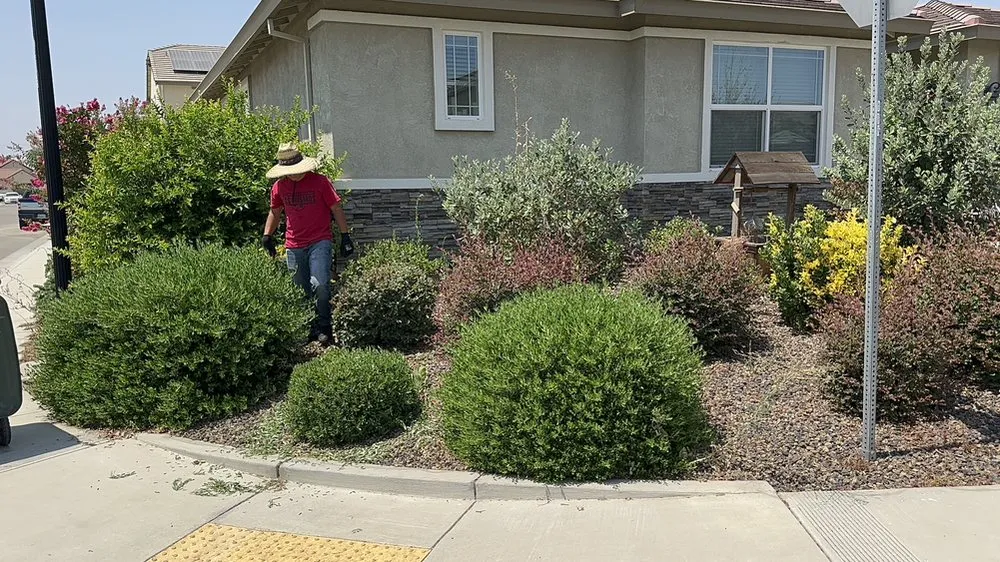 Reliable lawn care service for outdoor upgrades across Stockton, CA - Richard's Landscaping and Maintenance