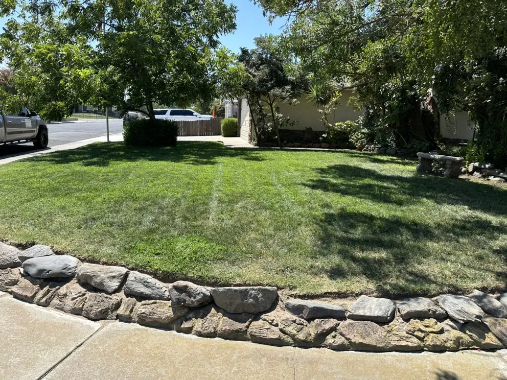 Reliable landscape design in Stockton, CA - Richard's Landscaping and Maintenance