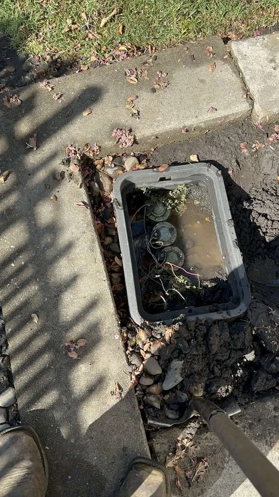 Top-rated landscape installation in Stockton, CA by Richard's Landscaping and Maintenance