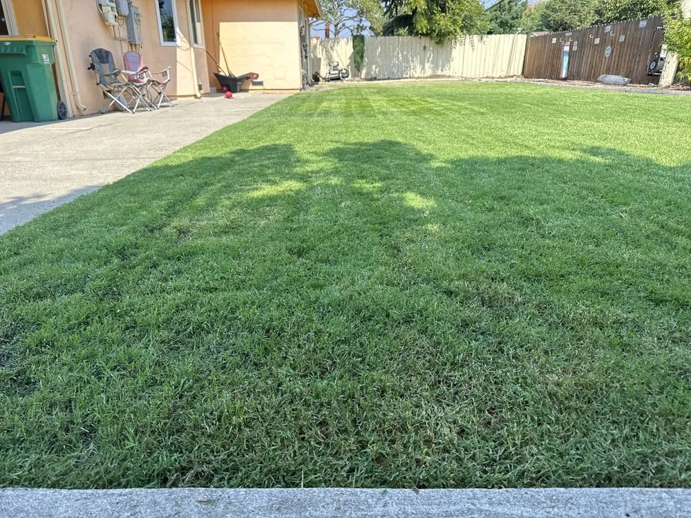 Reliable outdoor landscaping in Stockton, CA by Richard's Landscaping and Maintenance