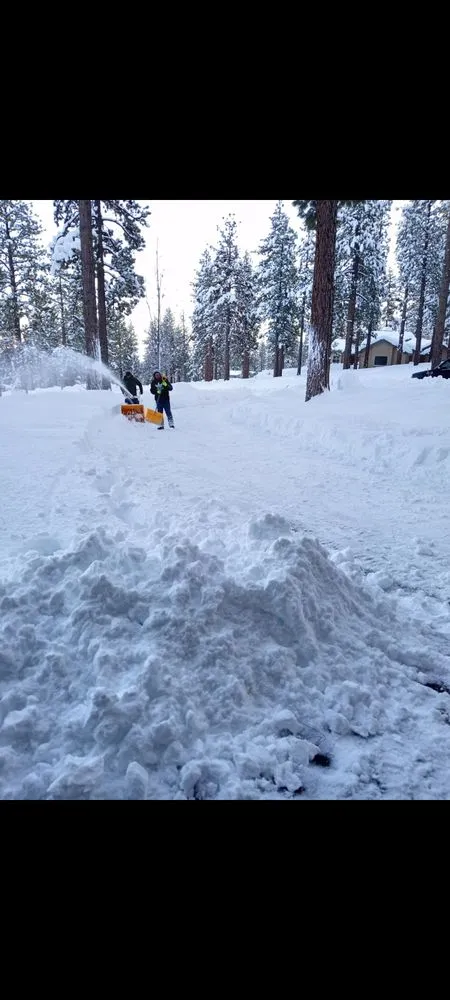 Professional landscaping services experts serving Carson City, NV - Richards landscaping and services