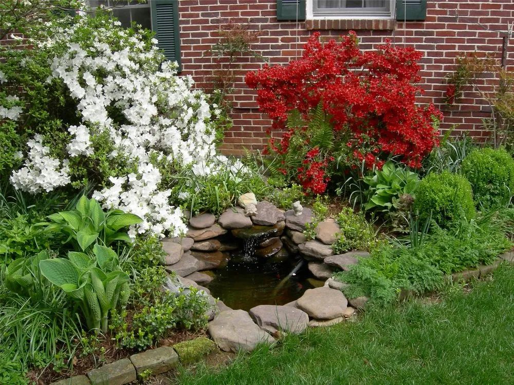 Affordable yard cleanup service in Daleville, VA by Richards Landscaping