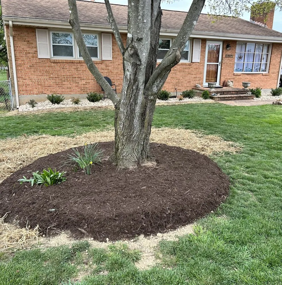 Top-rated yard cleanup service for year-round maintenance in Daleville, VA by Richards Landscaping
