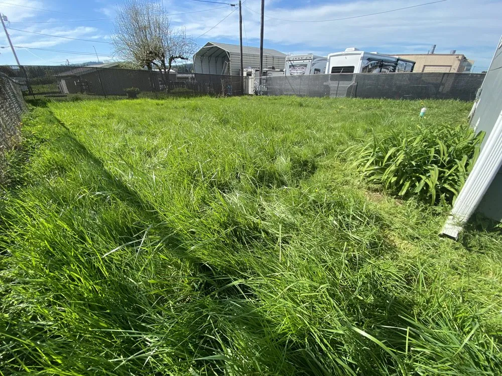 Reliable landscape installation experts serving Lacey, WA - Richards Landscaping