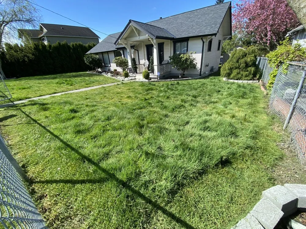 Expert residential landscaping for outdoor upgrades across Lacey, WA - Richards Landscaping