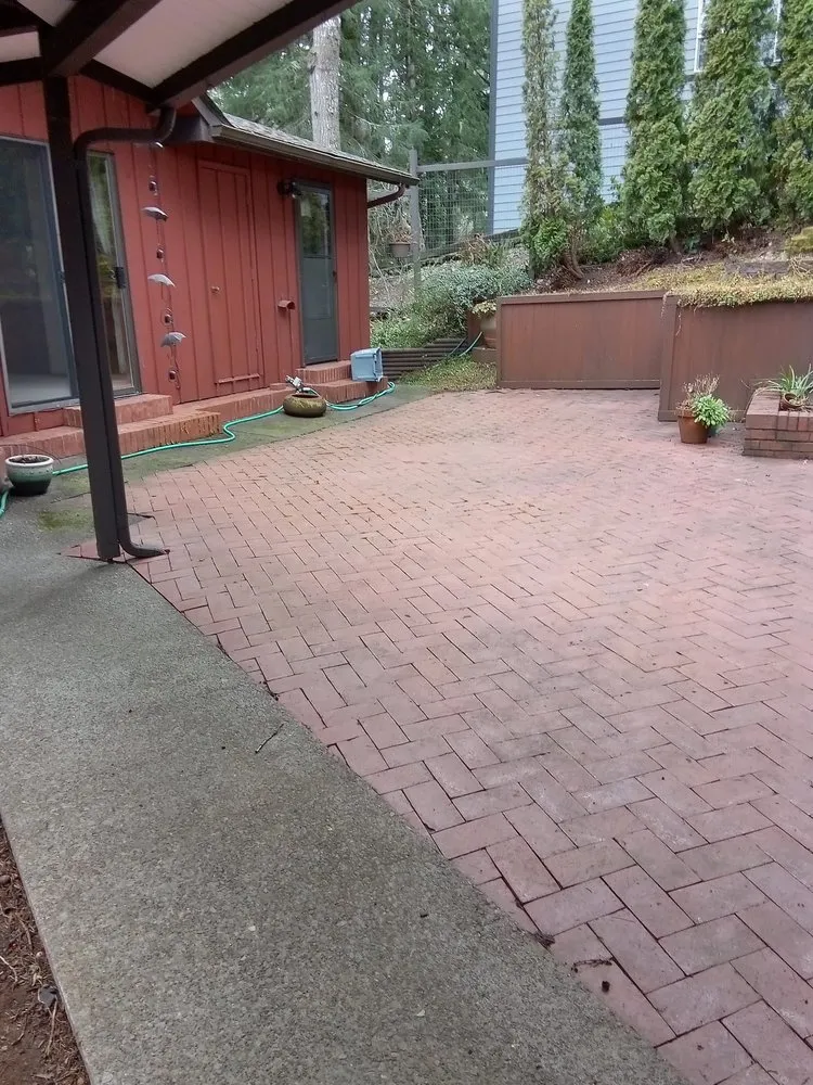 Local yard cleanup service in albany, OR by Richard's Landscaping Maintenance