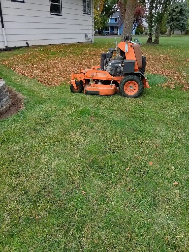 Expert landscape installation experts serving albany, OR - Richard's Landscaping Maintenance