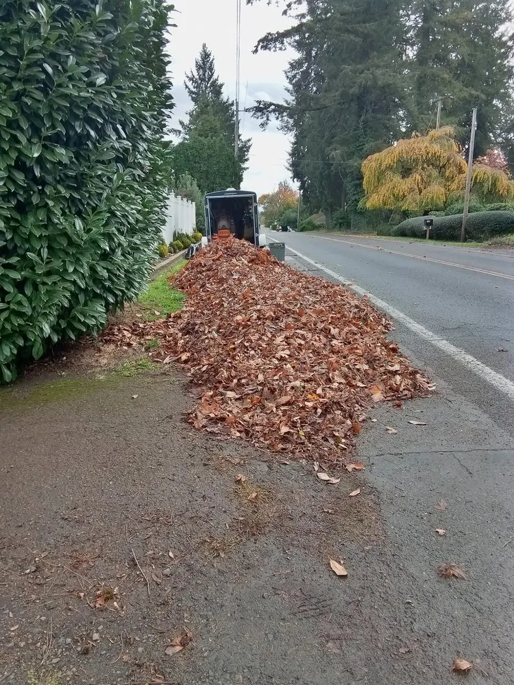 Local lawn care service with custom design in albany, OR by Richard's Landscaping Maintenance