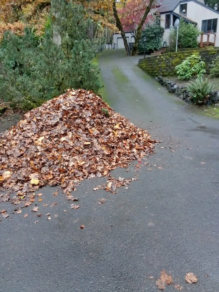 Trusted landscaping services for residential properties in albany, OR by Richard's Landscaping Maintenance