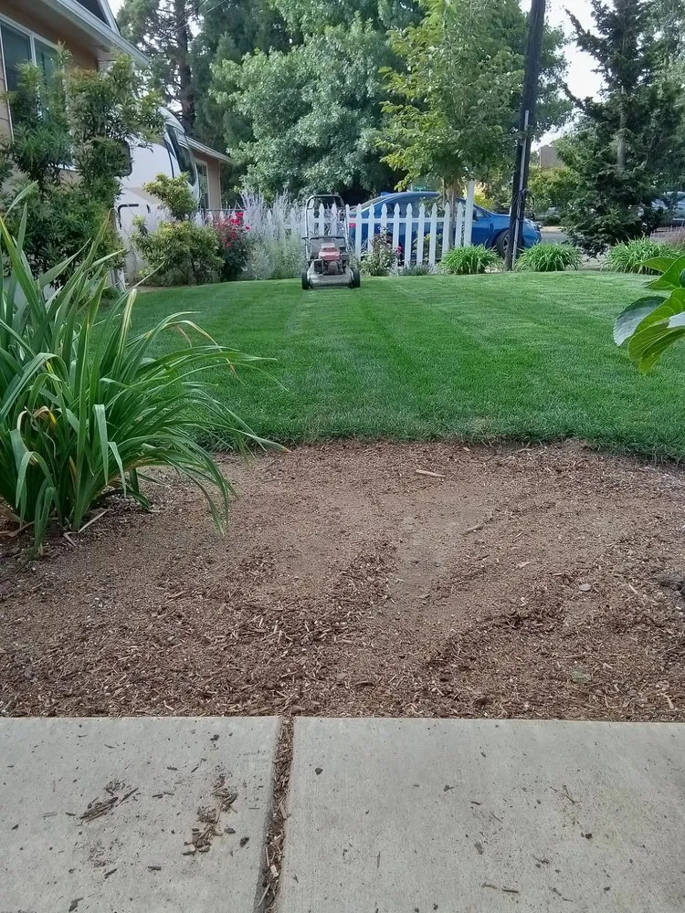 Professional residential landscaping in albany, OR - Richard's Landscaping Maintenance