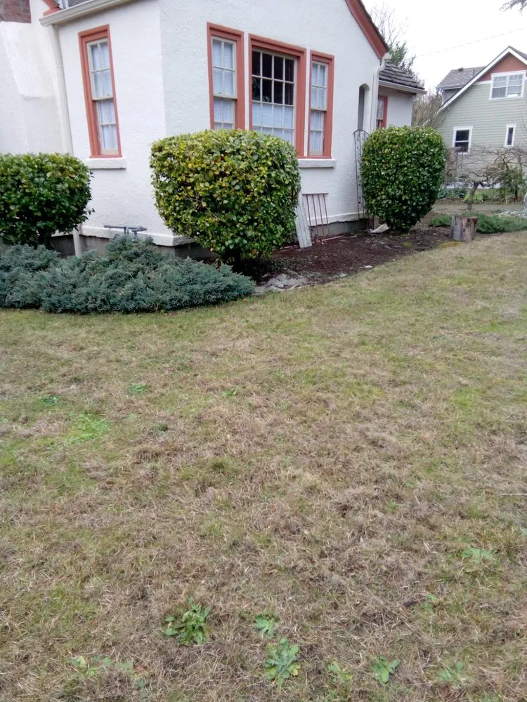 Reliable lawn care service in albany, OR - Richard's Landscaping Maintenance