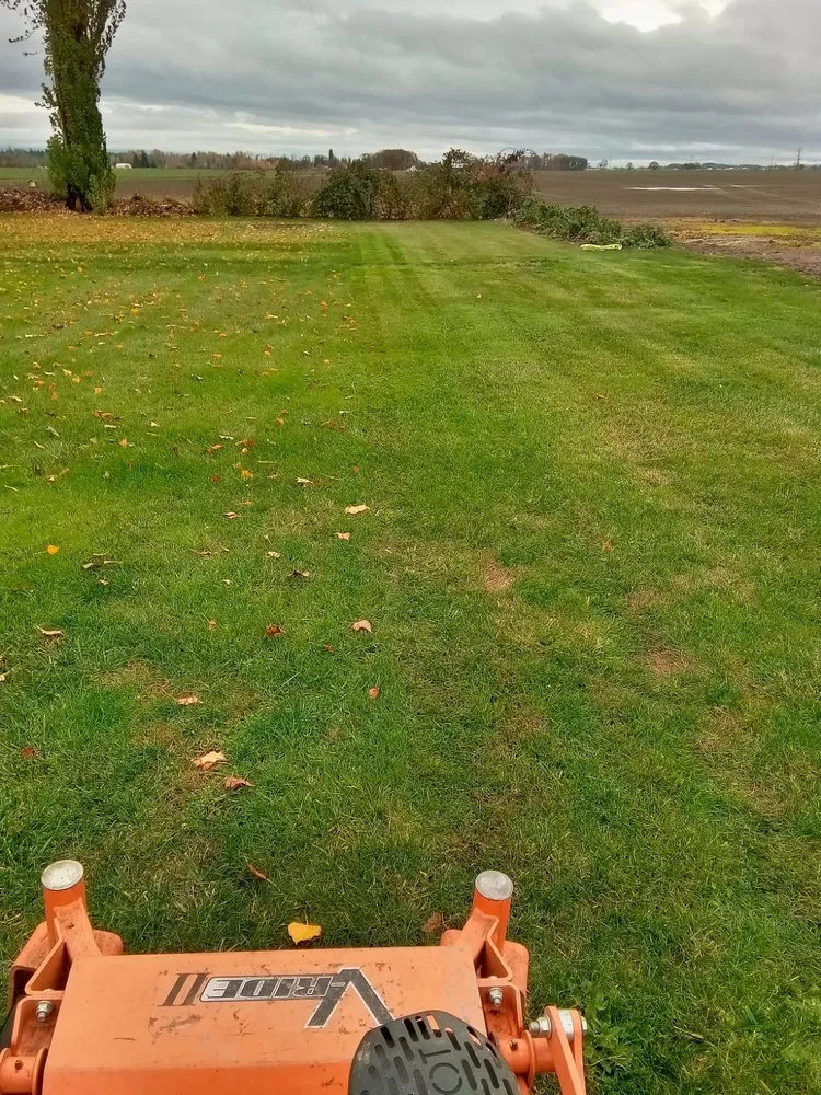 Custom residential landscaping experts serving albany, OR - Richard's Landscaping Maintenance