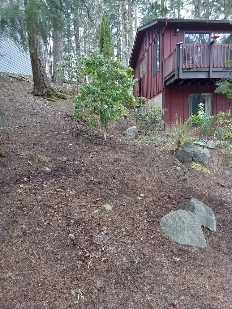 Expert lawn care service in albany, OR by Richard's Landscaping Maintenance