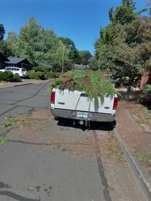 Richard's Landscaping Maintenance Logo