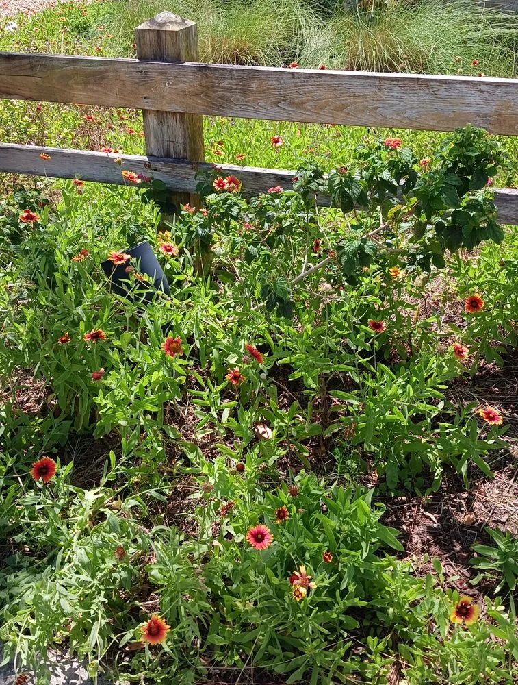 Reliable landscaping services experts serving Melbourne, FL - Richards Landscaping