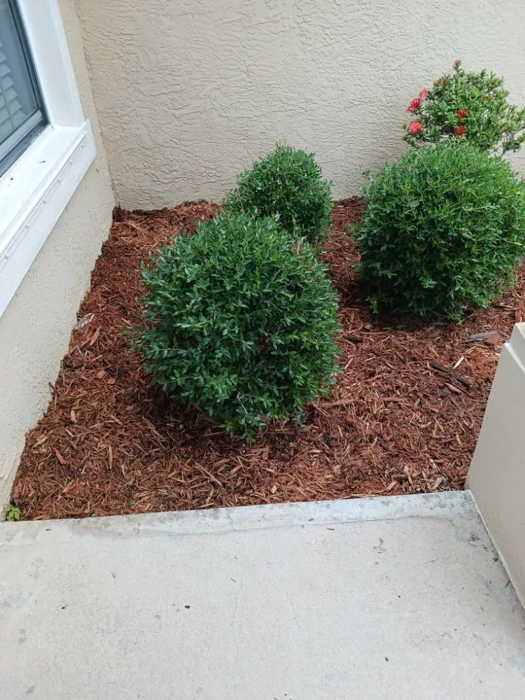 Professional landscape design for residential properties across Melbourne, FL - Richards Landscaping