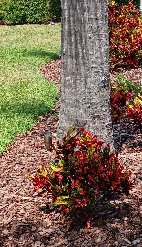 Professional lawn mowing service for year-round maintenance in Melbourne, FL by Richards Landscaping