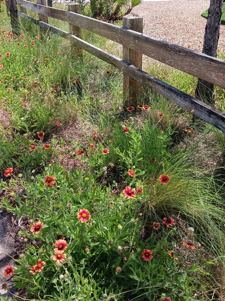 Affordable landscape installation experts serving Melbourne, FL - Richards Landscaping