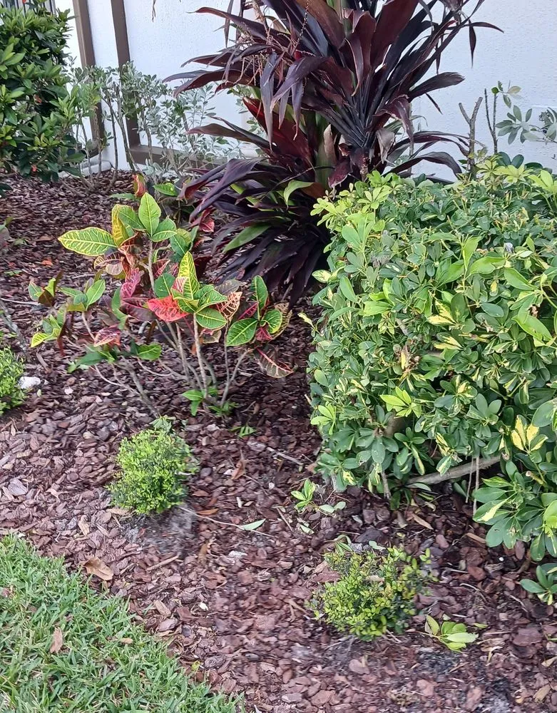 Top-rated landscaping services in Melbourne, FL by Richards Landscaping