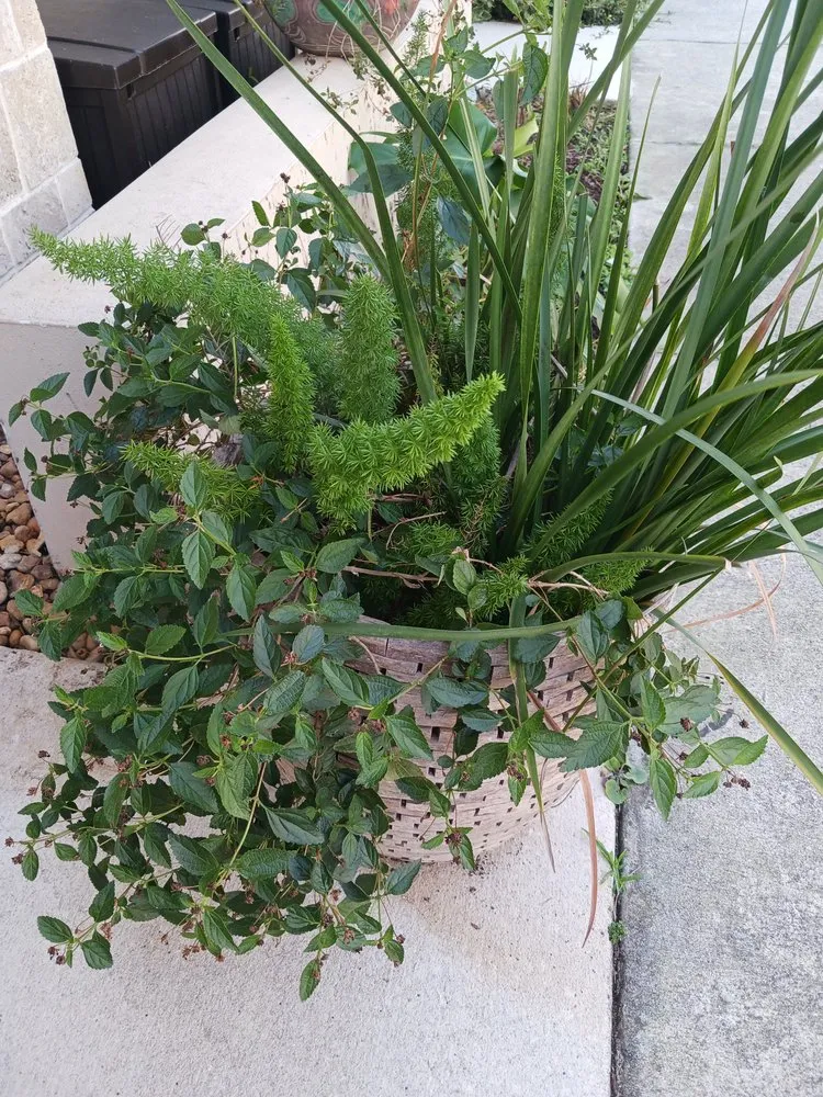 Local garden landscaping near you across Melbourne, FL - Richards Landscaping