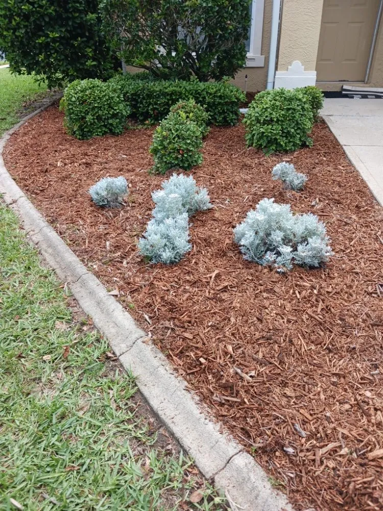 Affordable lawn care service in Melbourne, FL - Richards Landscaping