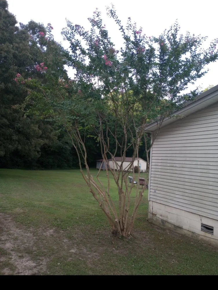 Reliable lawn care service in Paris, TN by Richards Landscaping