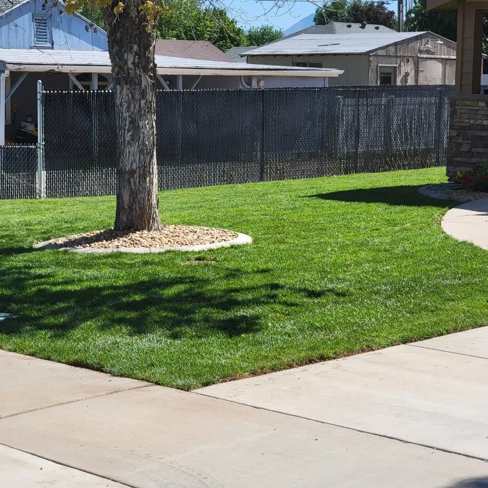 Top-rated landscaping services experts serving Salem, UT - Richards Landscaping