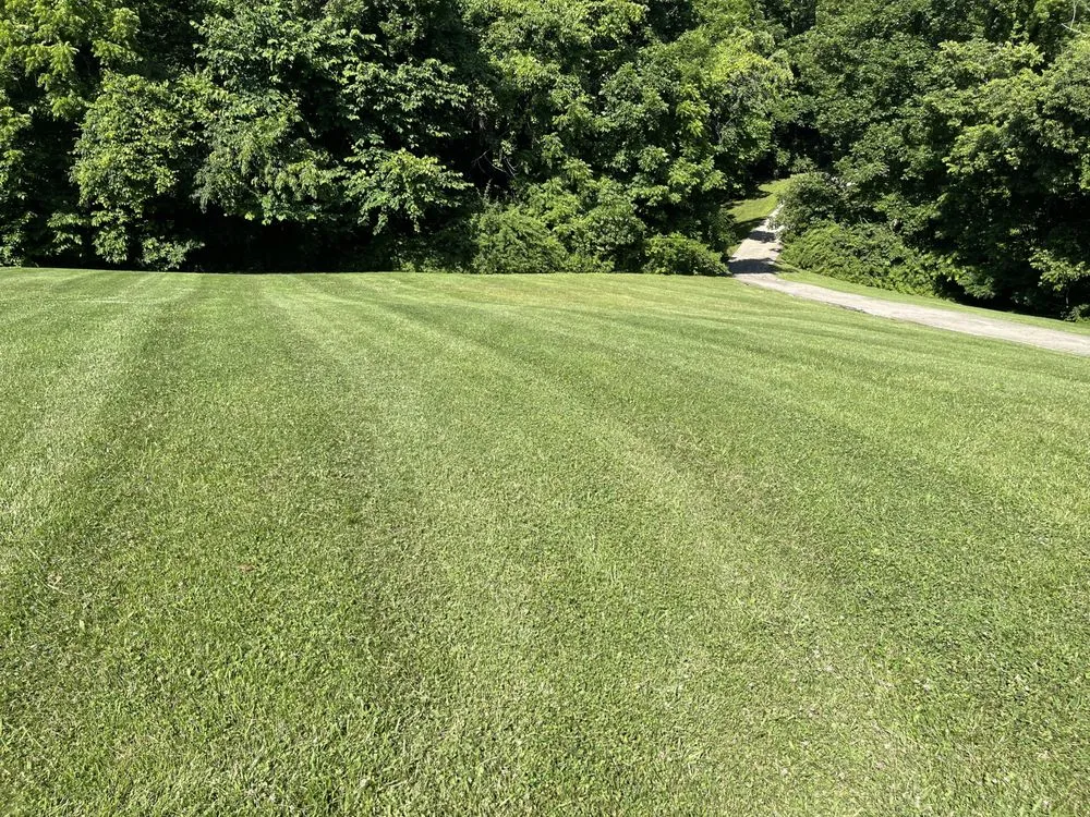 Expert lawn mowing service for homes across Richmond, KY - Richards Lawn and More