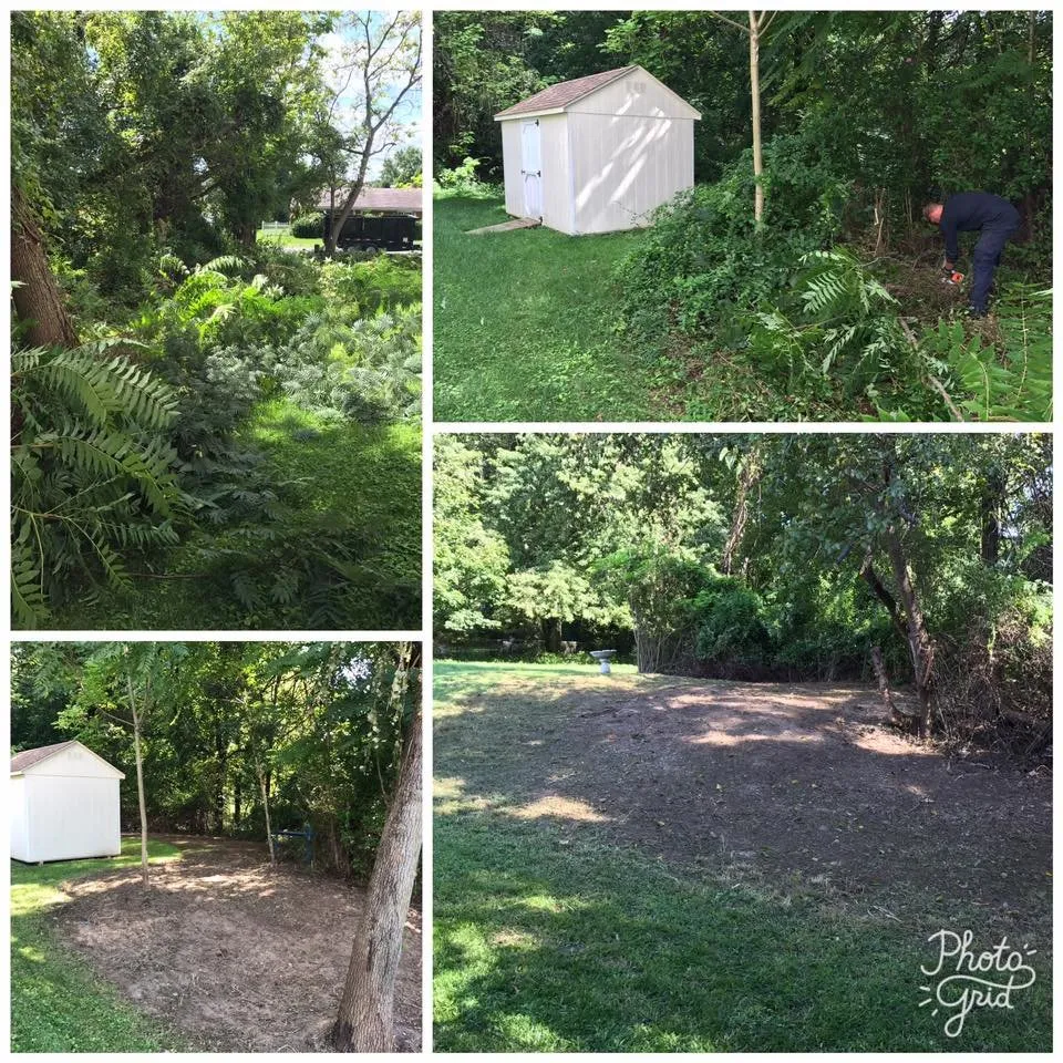 Trusted yard cleanup service in Dundalk, MD - Richard's Lawn Care & Landscaping