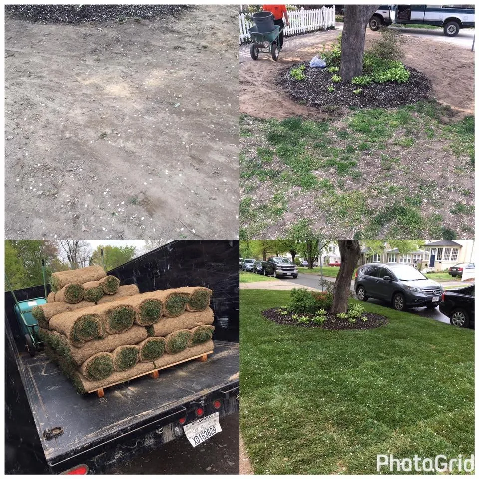 Top-rated outdoor landscaping for year-round maintenance across Dundalk, MD - Richard's Lawn Care & Landscaping