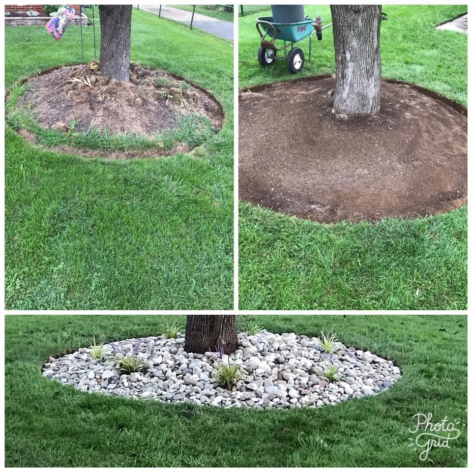 Affordable yard cleanup service in Dundalk, MD - Richard's Lawn Care & Landscaping