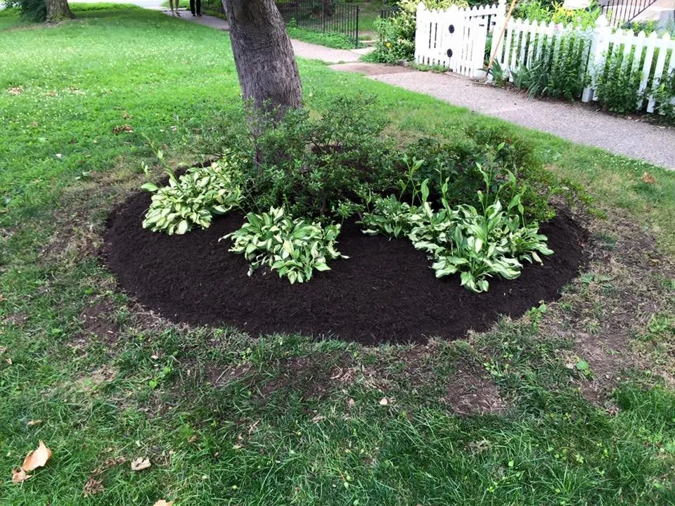 Professional landscape design experts serving Dundalk, MD - Richard's Lawn Care & Landscaping