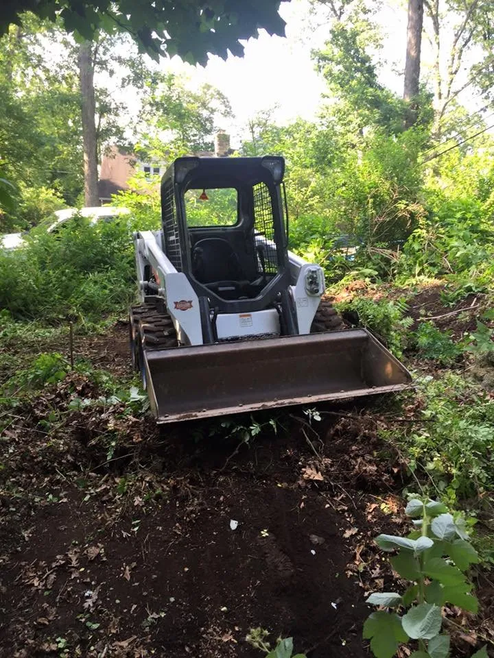 Local lawn mowing service for year-round maintenance across Dundalk, MD - Richard's Lawn Care & Landscaping