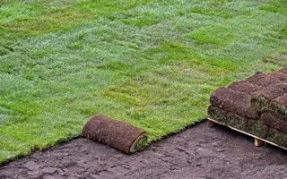 Reliable lawn mowing service in Dundalk, MD - Richard's Lawn Care & Landscaping