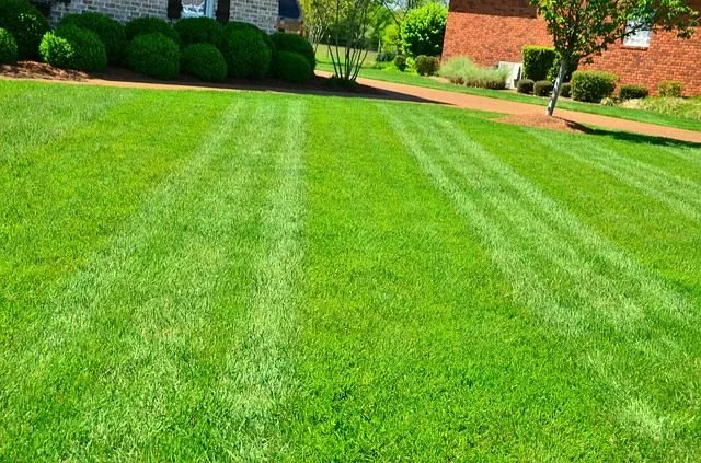 Trusted lawn care service in Clearfield, PA - Richard's Lawn Care