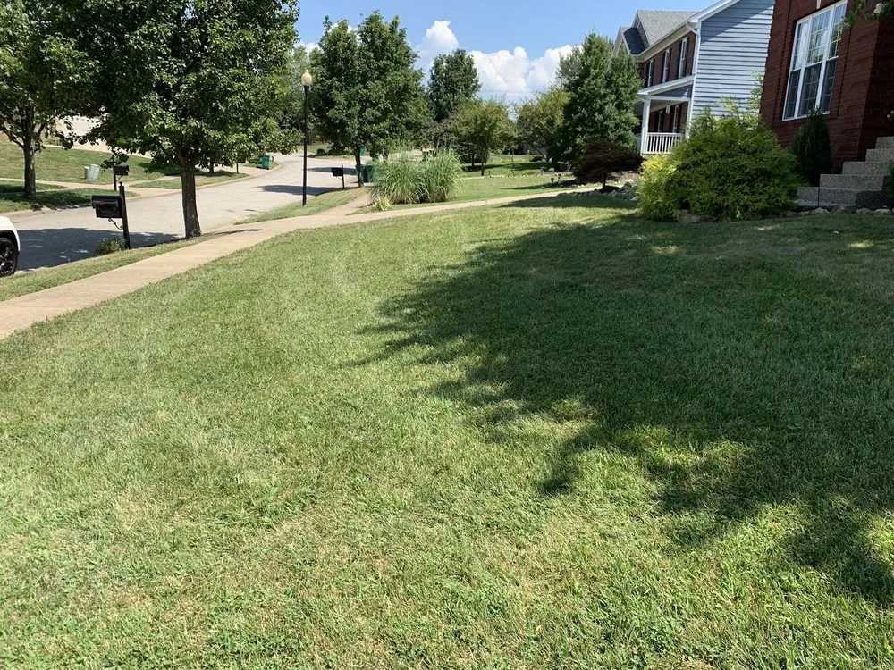 Top-rated yard maintenance near you across Louisville, KY - Richards Lawn Care