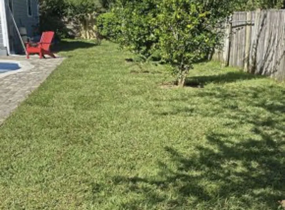 Reliable landscape installation in New Prt Rchy, FL by Richards Lawn Care