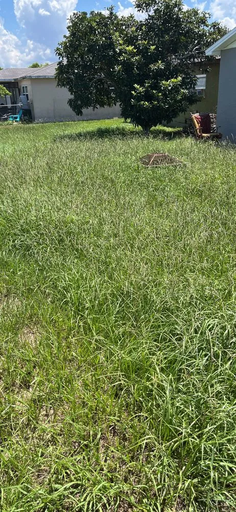 Local garden landscaping experts serving New Prt Rchy, FL - Richards Lawn Care