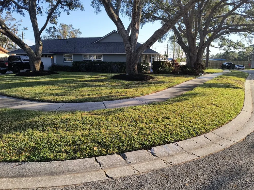 Custom yard cleanup service in St. Petersburg, FL by Richards Lawn Service