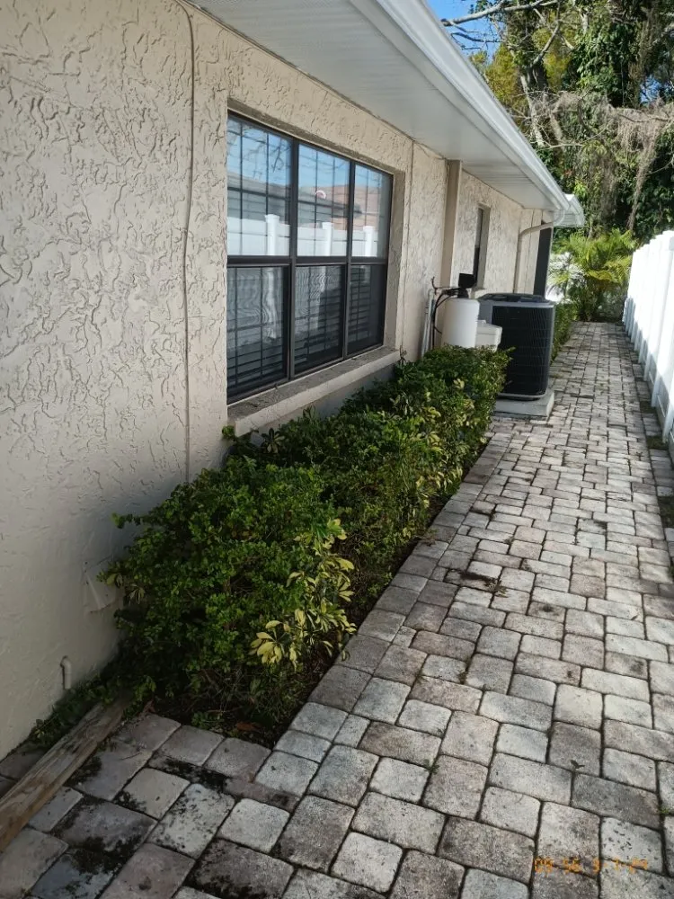 Expert lawn care service in St. Petersburg, FL - Richards Lawn Service