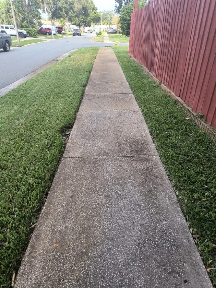 Local outdoor landscaping in St. Petersburg, FL - Richards Lawn Service