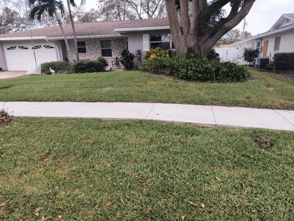 Local lawn care service with custom design in St. Petersburg, FL by Richards Lawn Service