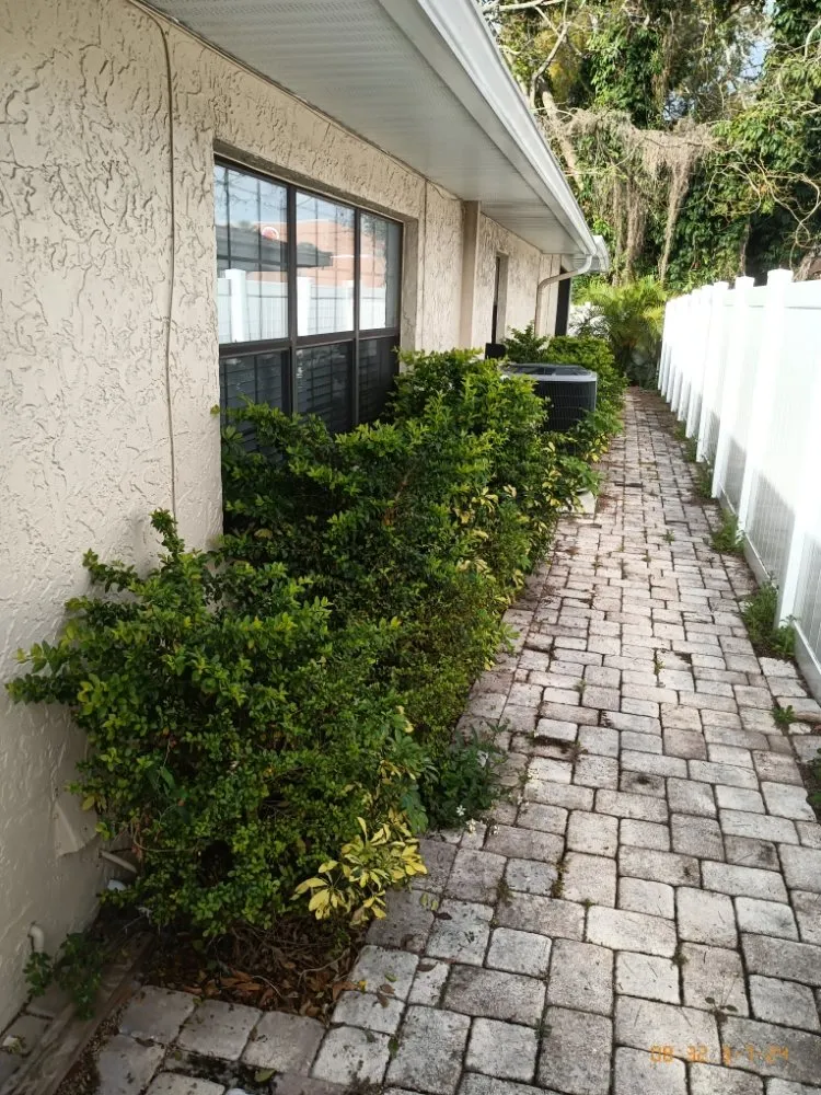 Custom lawn mowing service in St. Petersburg, FL by Richards Lawn Service