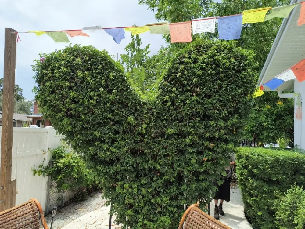 Trusted landscape installation experts serving St. Petersburg, FL - Richards Lawn Service