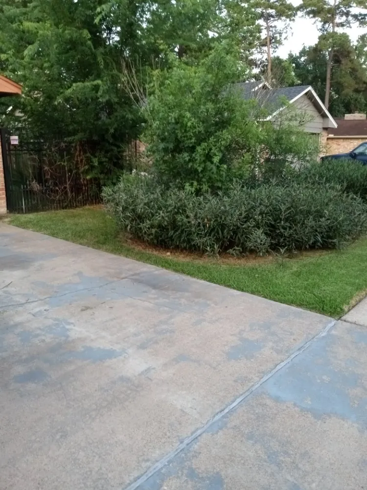 Expert outdoor landscaping for homes across Dayton, TX - Richard's Lovely Lawn Care